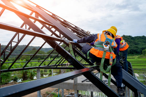Best Roof Gutter Cleaning  in Williston Park, NY